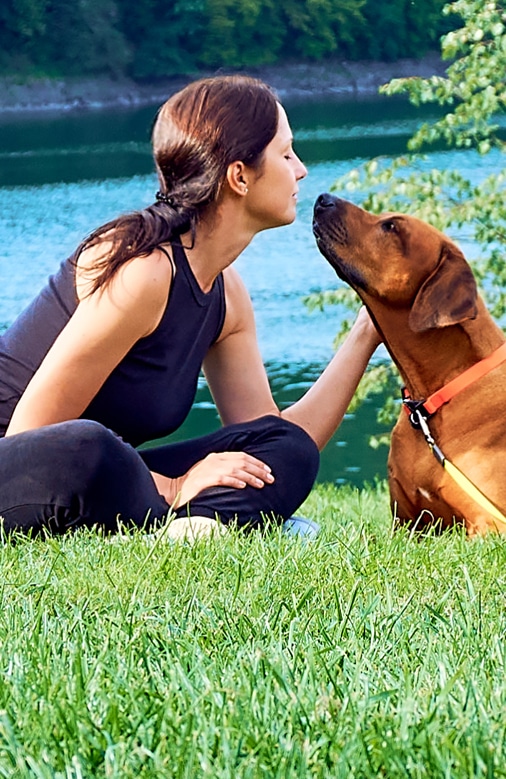 DeepWoods Frequently Asked Questions