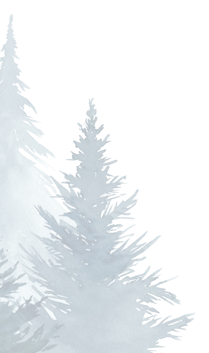 Services Graphic Image