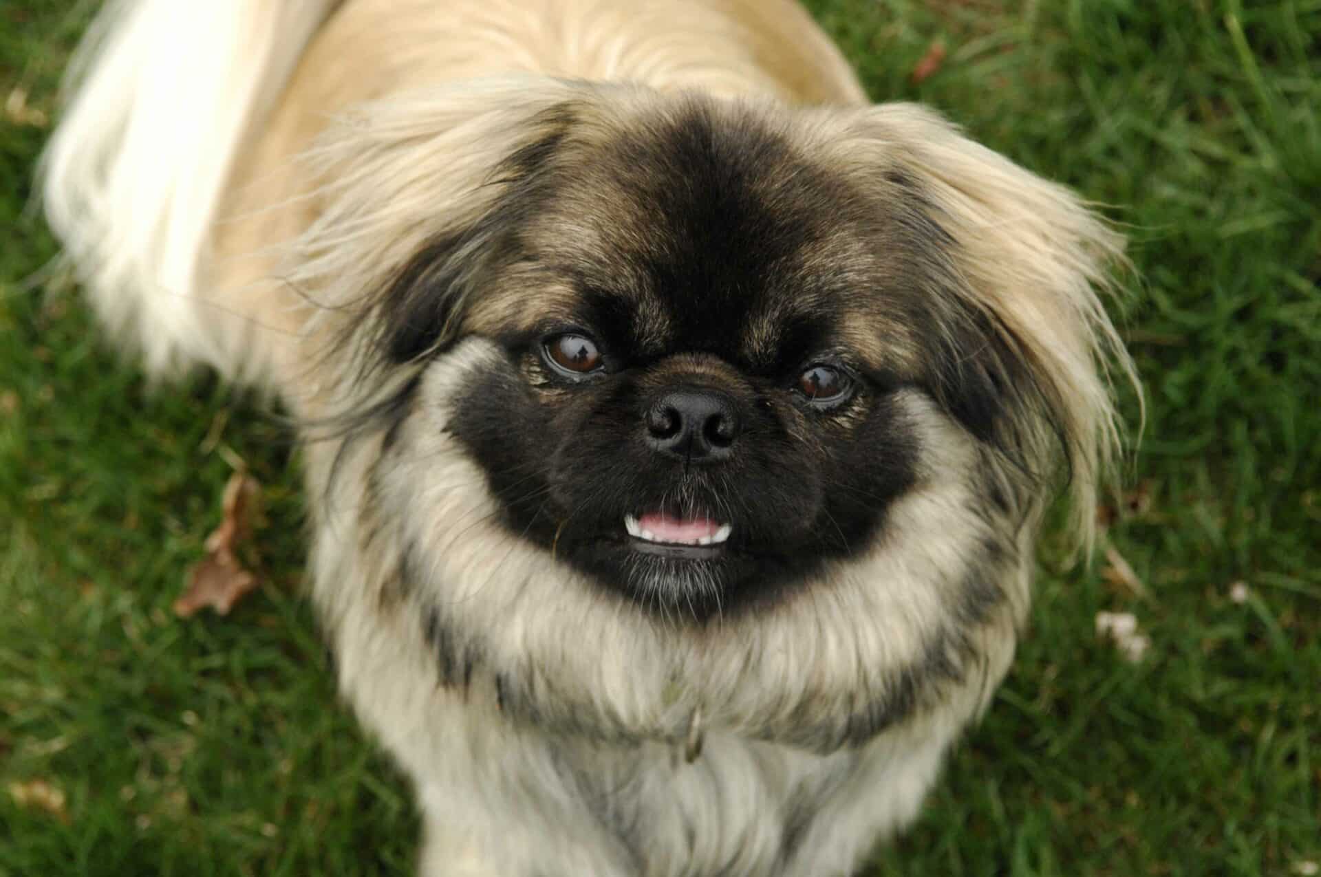 Take the First Step Toward a Happier Home